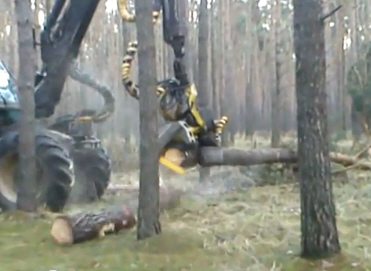 Holzknechtarbeit heute