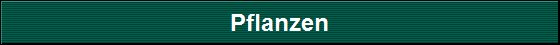 Pflanzen