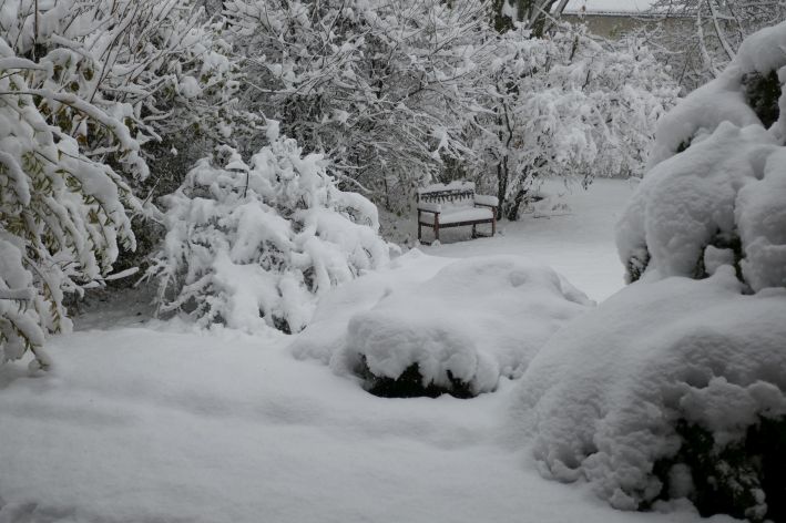 Winter k